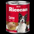 RICOCAN ADULTO 